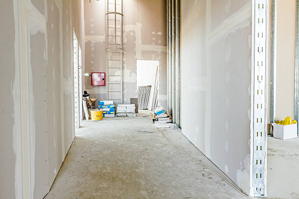 Best Forensic Mold Investigation  in North Yelm, WA